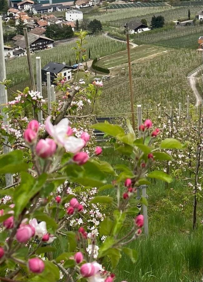 Weingut Bachguetl Apartment แชร์เมส ภายนอก รูปภาพ