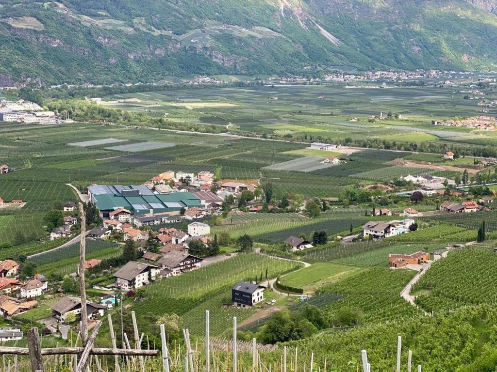 Weingut Bachguetl Apartment แชร์เมส ภายนอก รูปภาพ